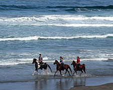 USA-California-Redwood Coast Ride